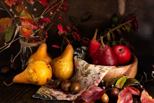 Чем и как подкормить яблоню и грушу осенью для хорошей зимовки и урожая