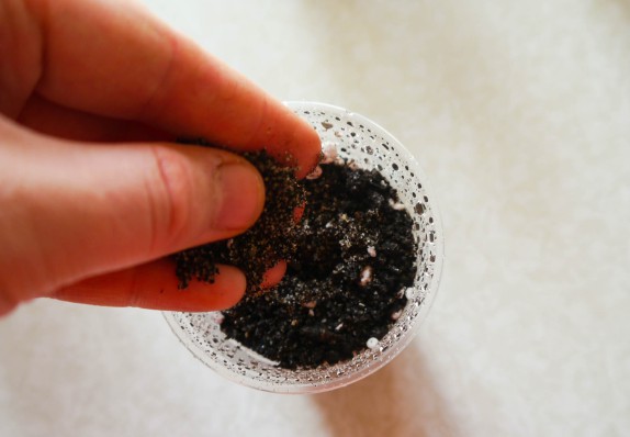 14 Kak pravilno sazhat semena nasturtsii na rassadu foto instruktsiya