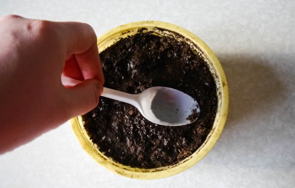 Как сажать портулак махровый семенами